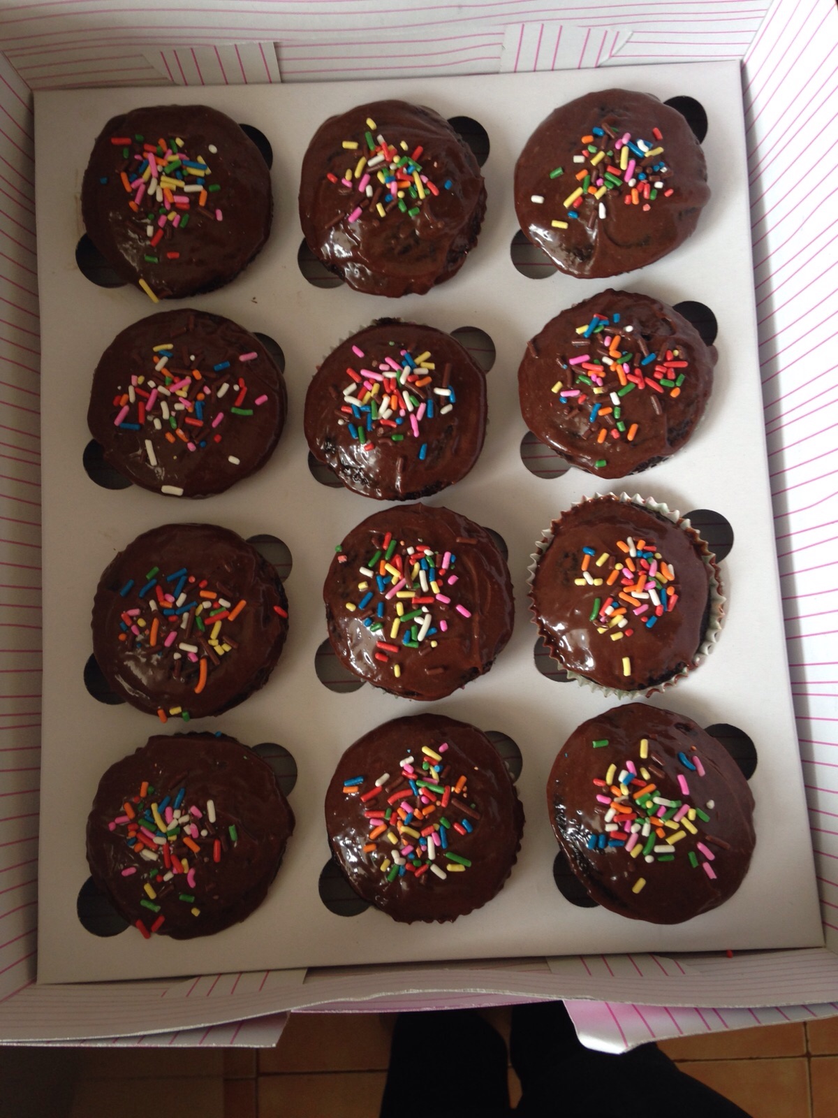 Chocolate muffins Plain